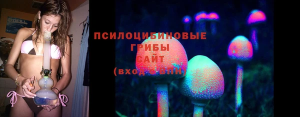 экстази Горняк
