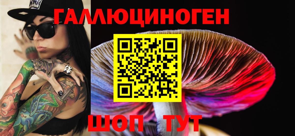 Псилоцибиновые грибы Psilocybe  Нерюнгри  Псилоцибиновые грибы Psilocybine cubensis 