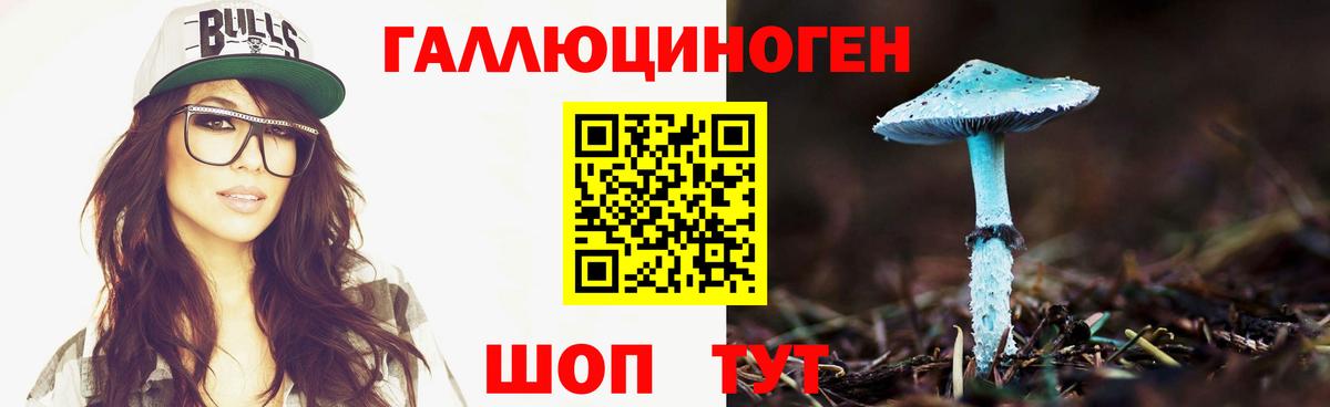 Галлюциногенные грибы Нерюнгри